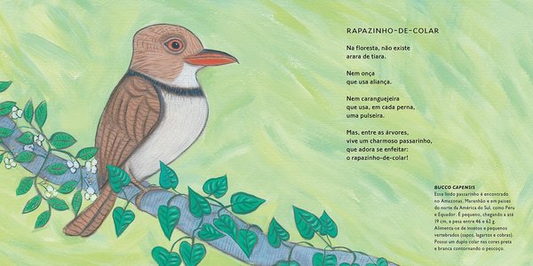 Brasileirinhos da Amazônia: Poesia para os bichos da nossa maior floresta